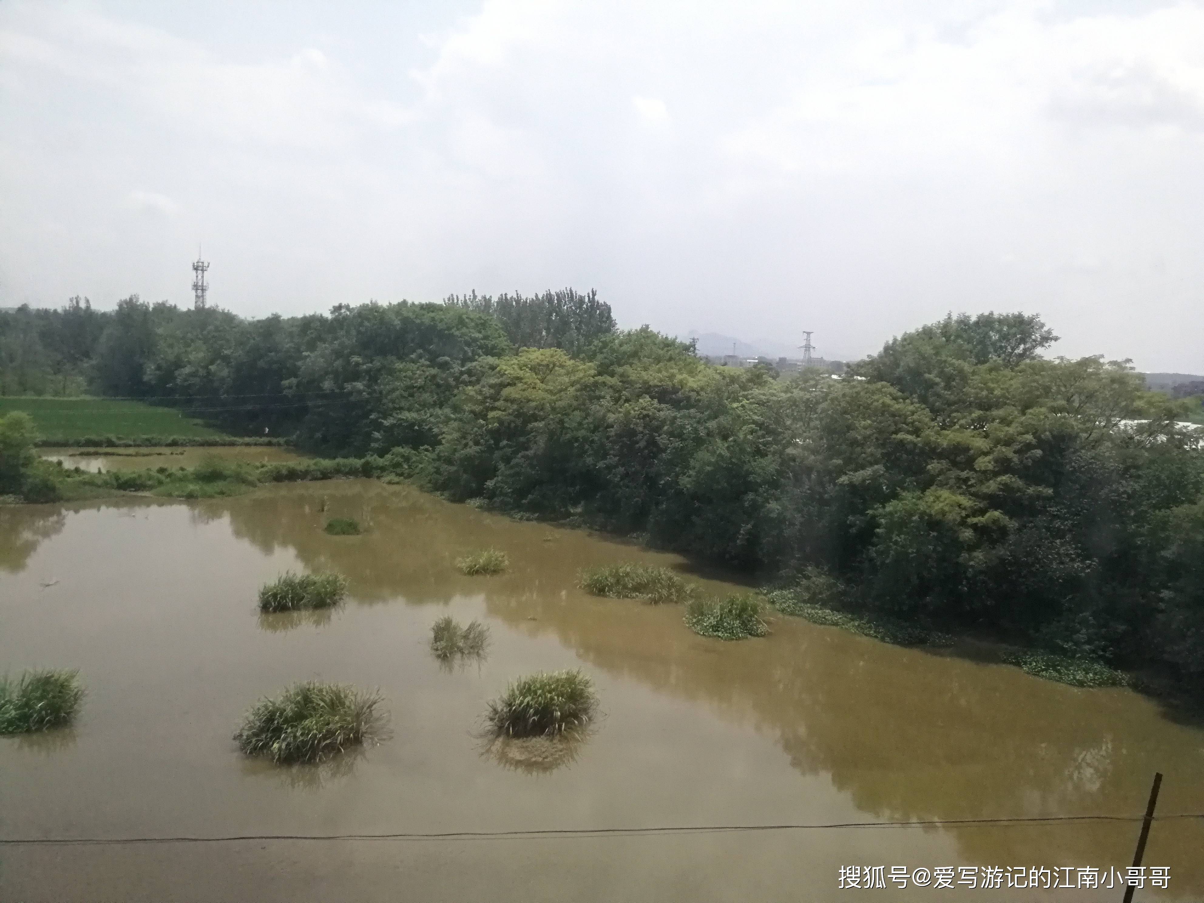 河道附近风景那只南方青松白松新