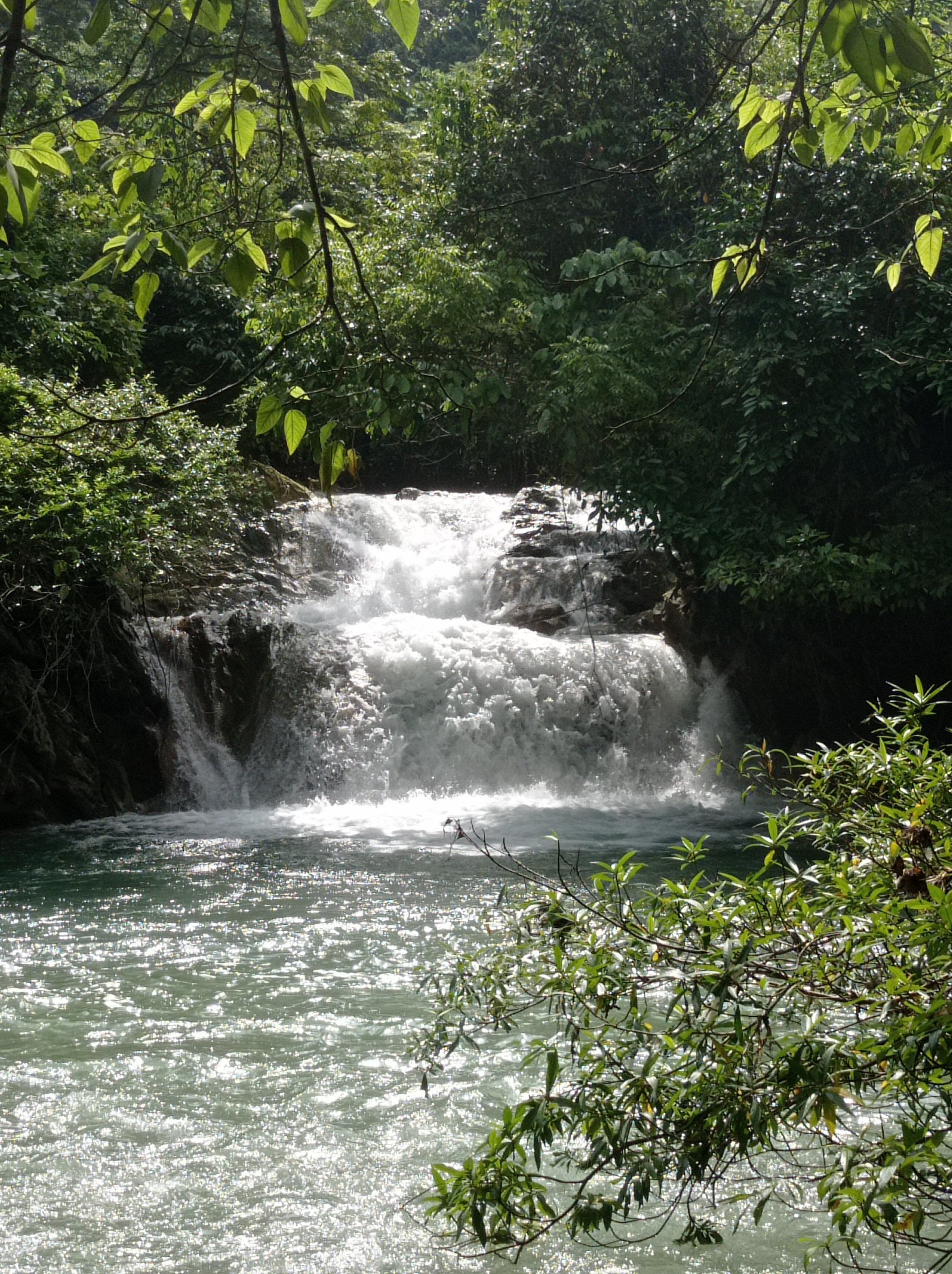河道附近风景那只南方青松白松新