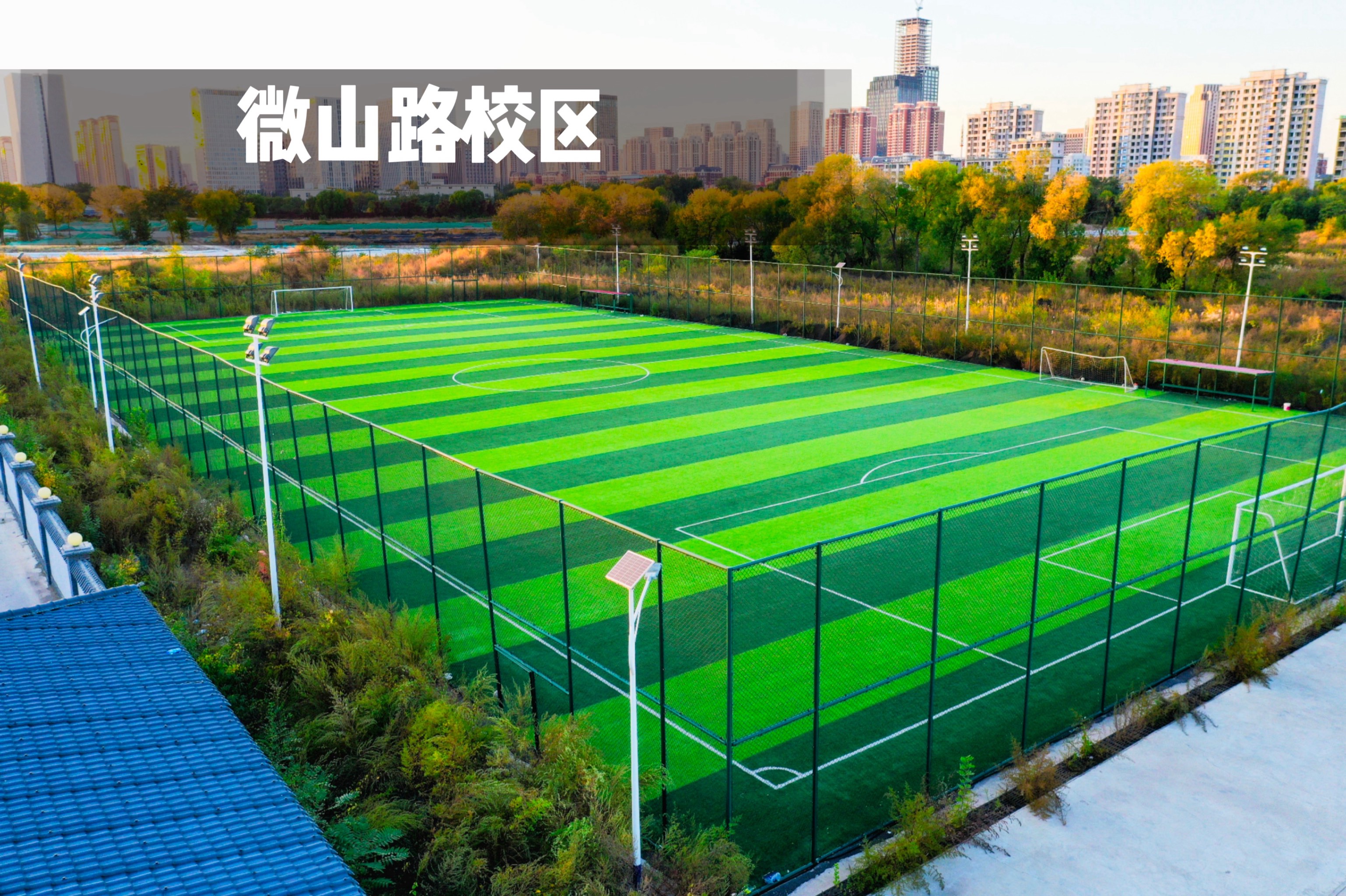 格拉纳达主场强势，挑战绿茵场上
